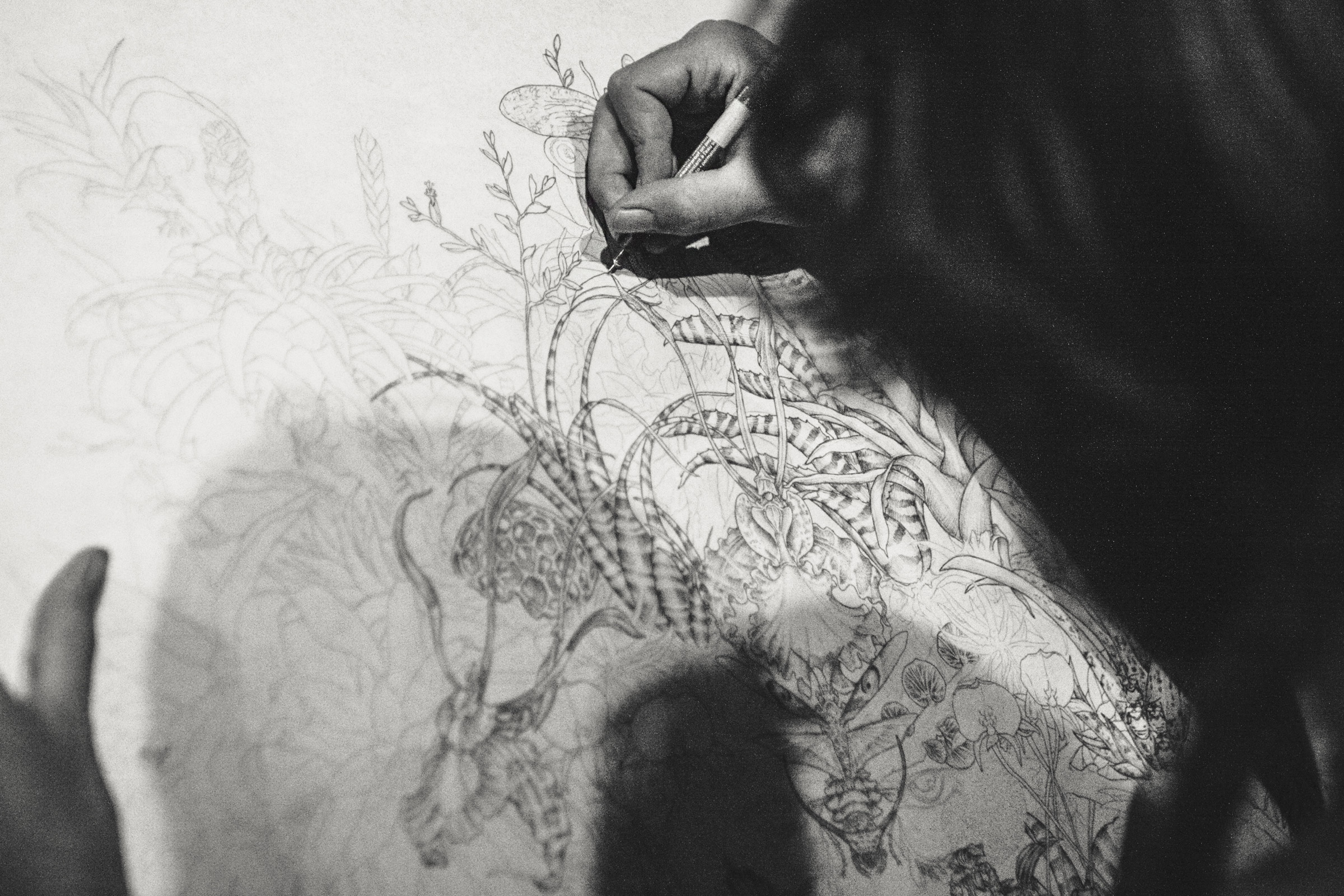 AlexanderWilkensVoiceArtist